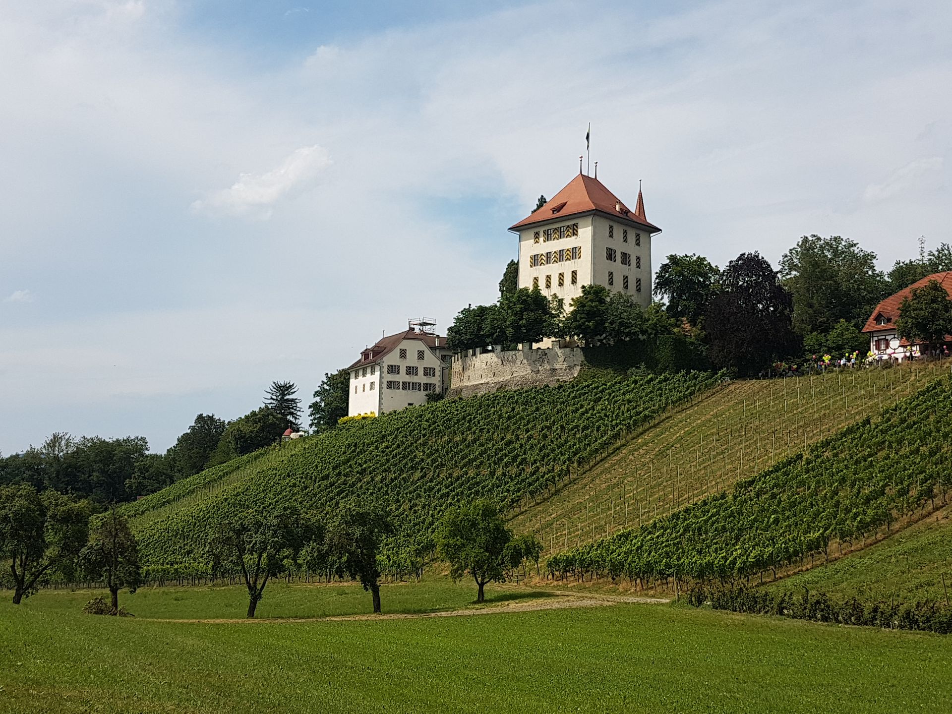 Schloss Heidegg, Hitzkirch